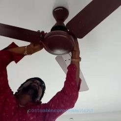 Ceiling Fan Services